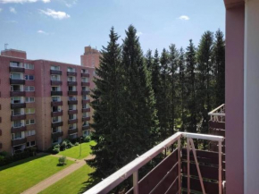 FeWo Schneeglocke. Das gemütliche Stübchen! Altenau